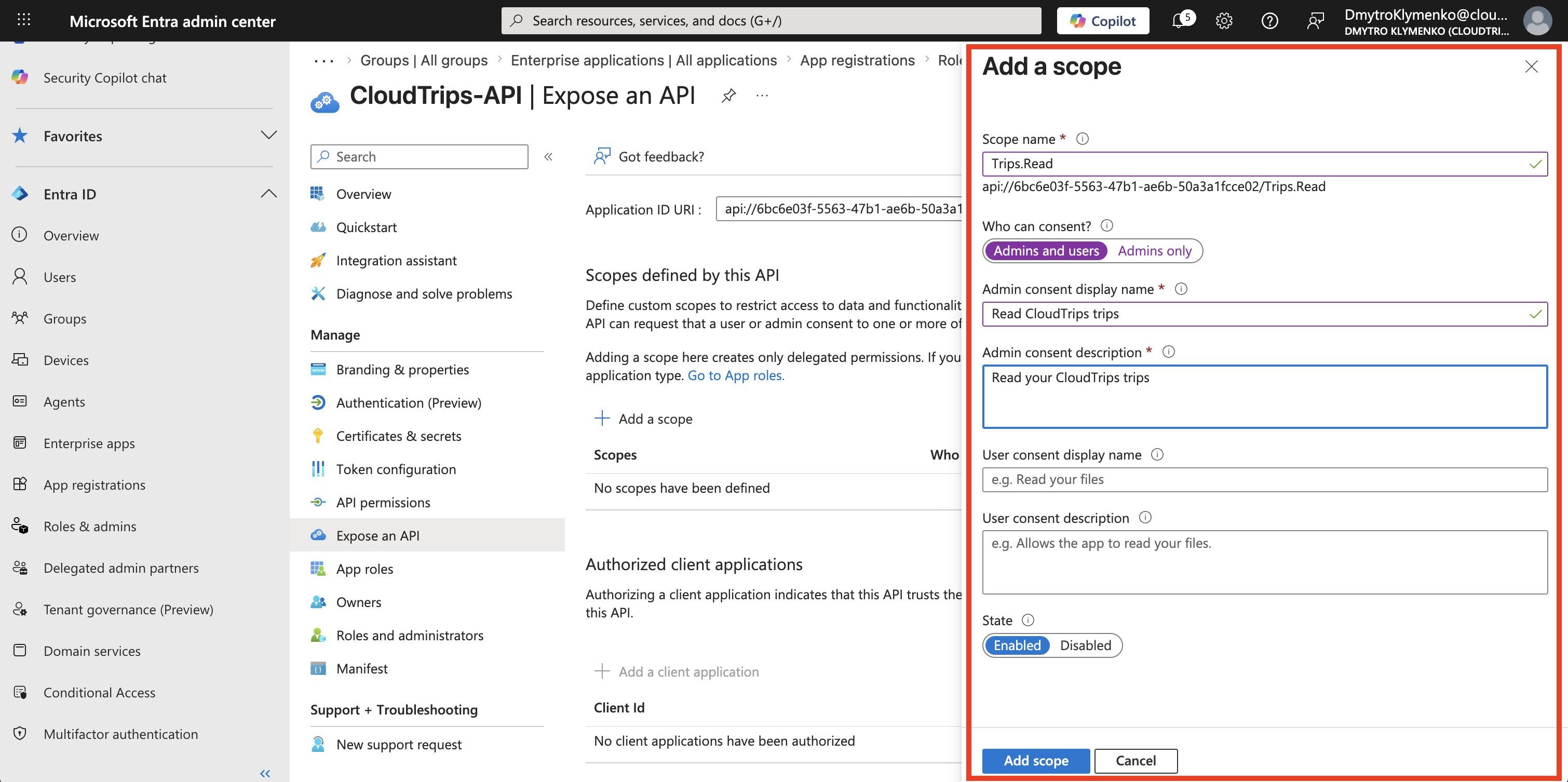 Add a scope Formular fuer CloudTrips API mit Trips.Read und Consent-Einstellungen