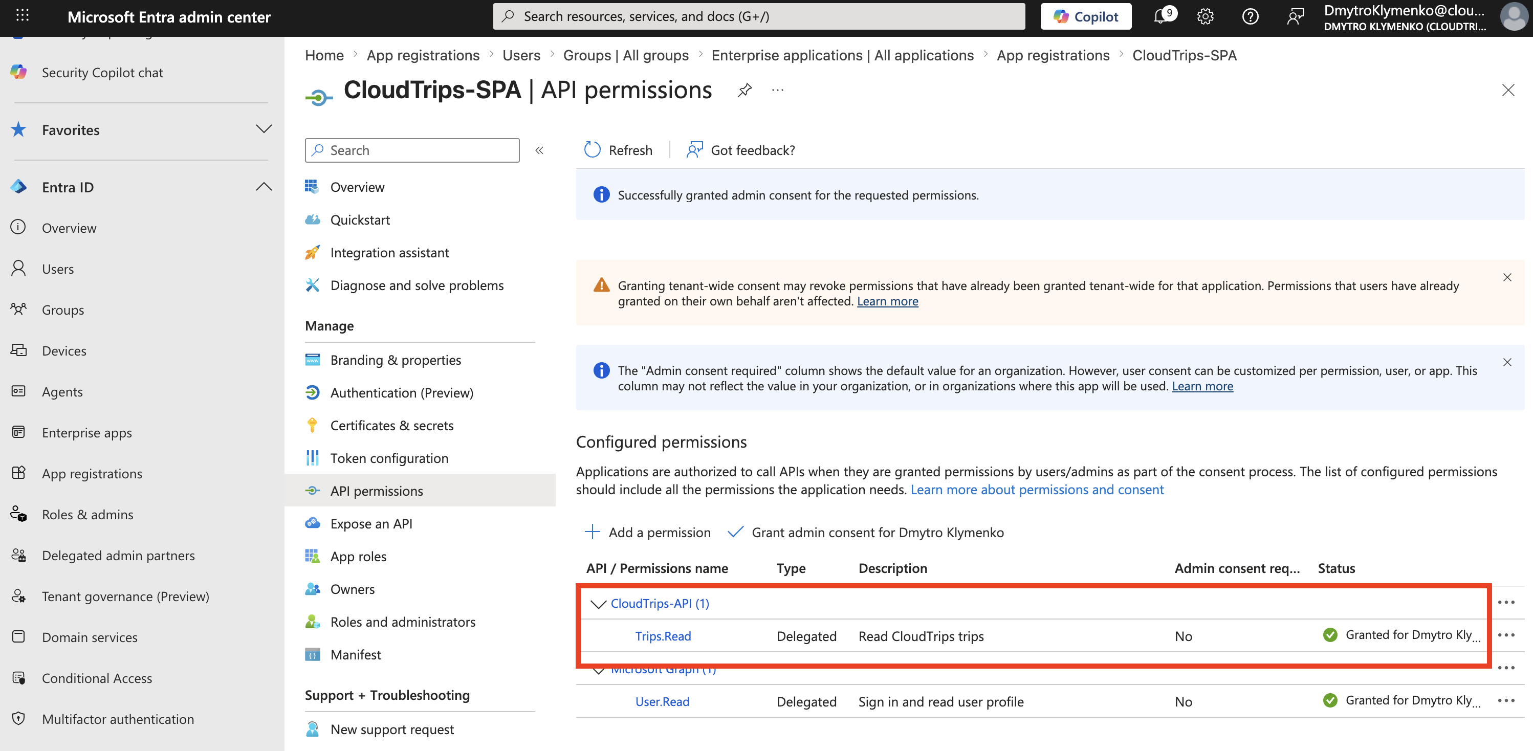 CloudTrips SPA API permissions Seite nach erteiltem Admin Consent