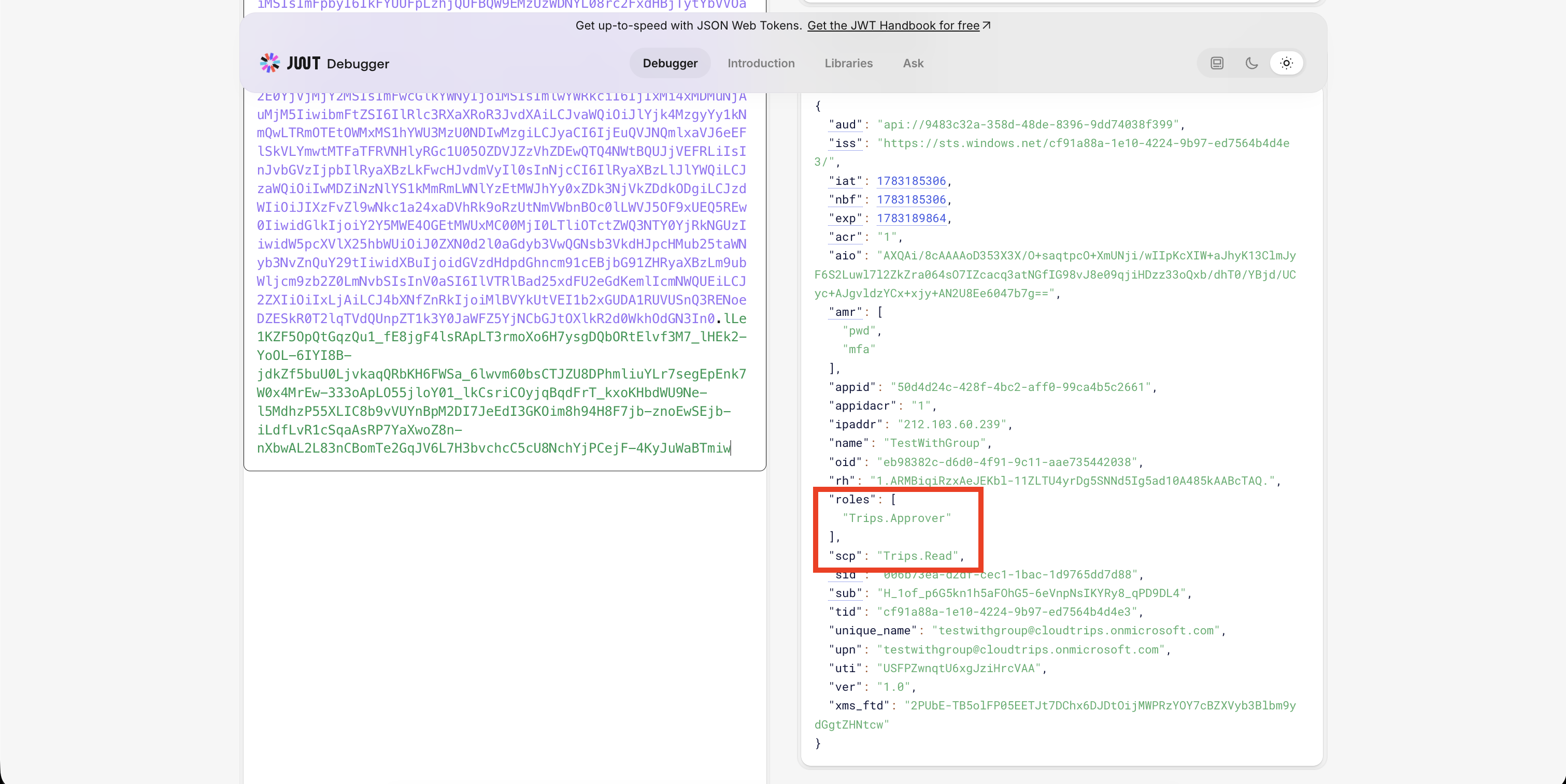 Decodiertes Access Token mit Trips.Read Scope und Trips.Approver Rolle