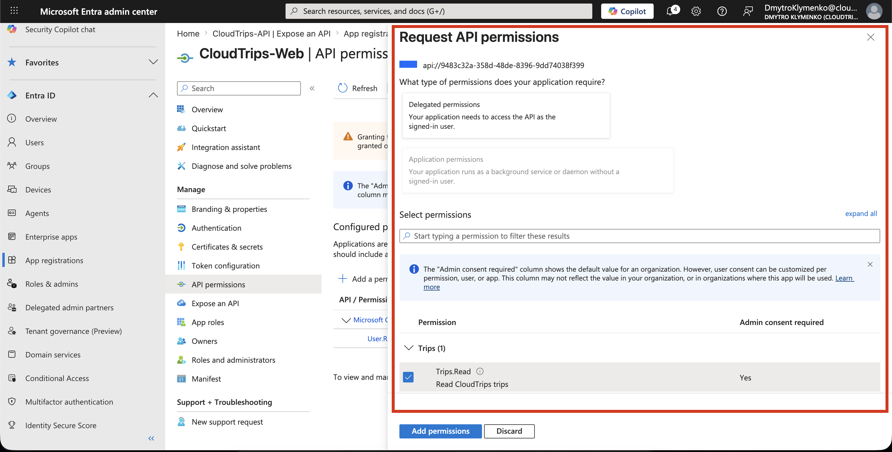 CloudTrips Web API permissions Seite mit ausgewaehlter delegierter CloudTrips API Berechtigung Trips.Read