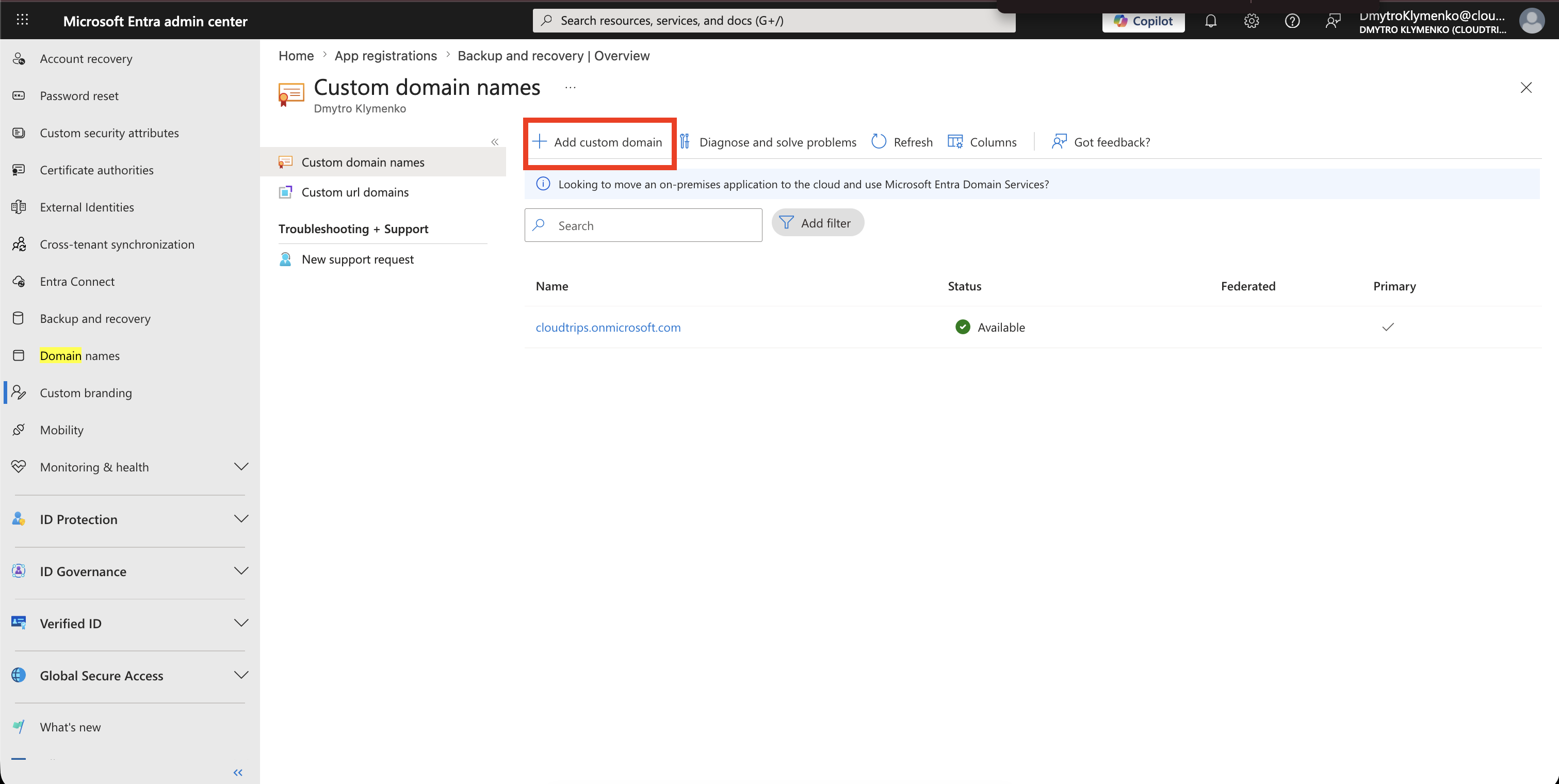 Microsoft Entra Domain names page with Add custom domain visible