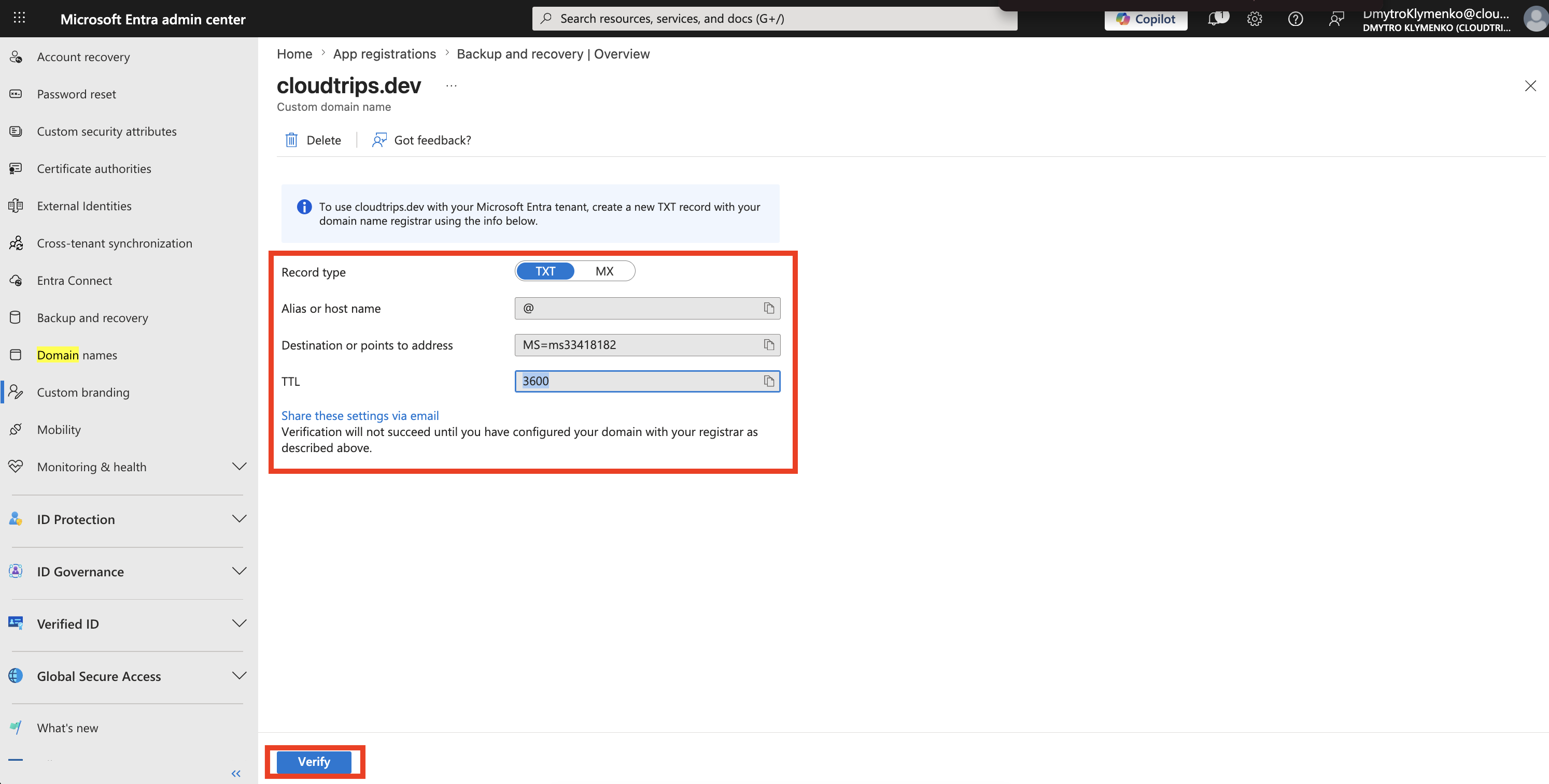Custom domain verification page showing the TXT record value