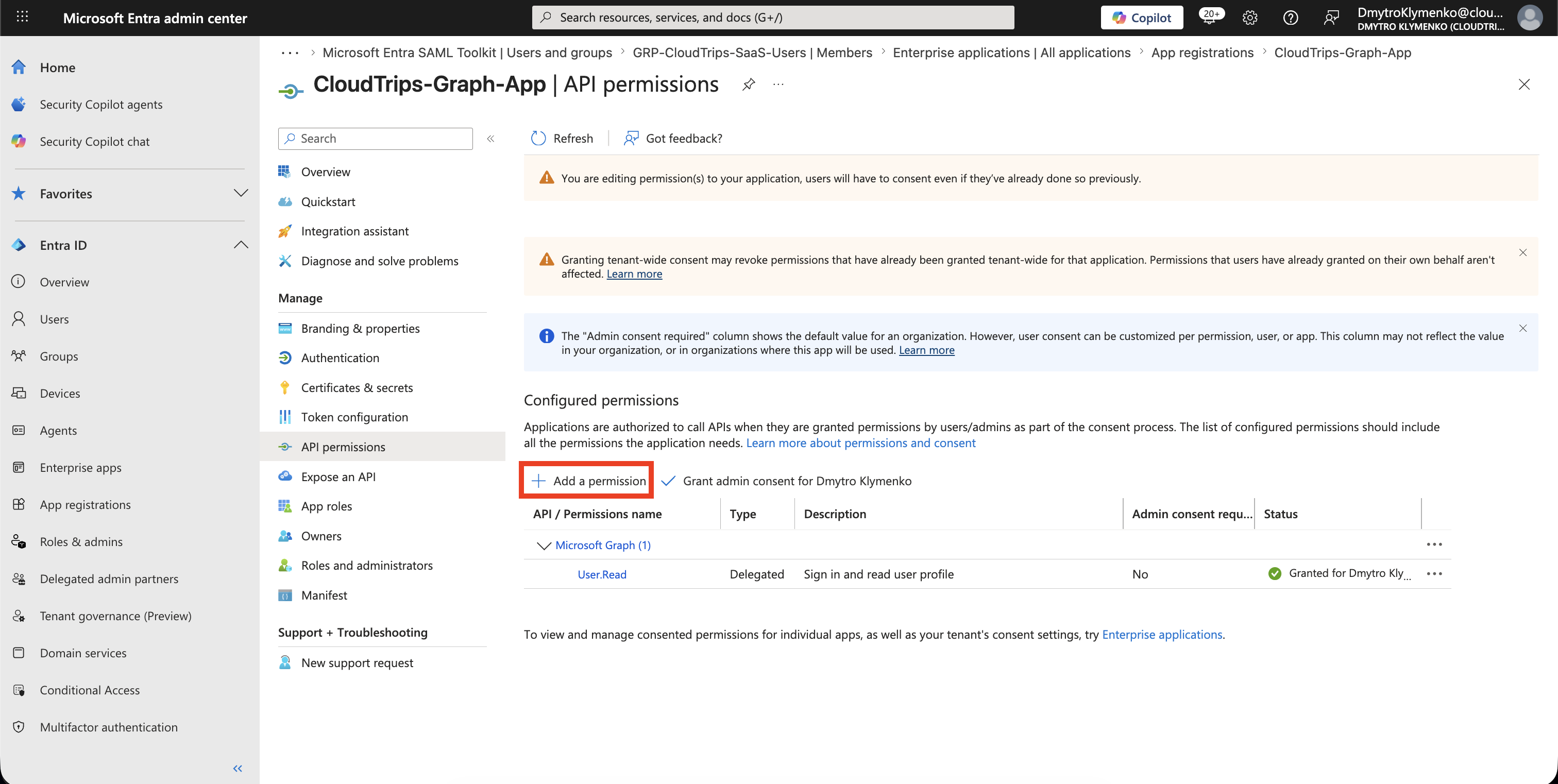 CloudTrips Graph App API permissions Seite mit Add a permission