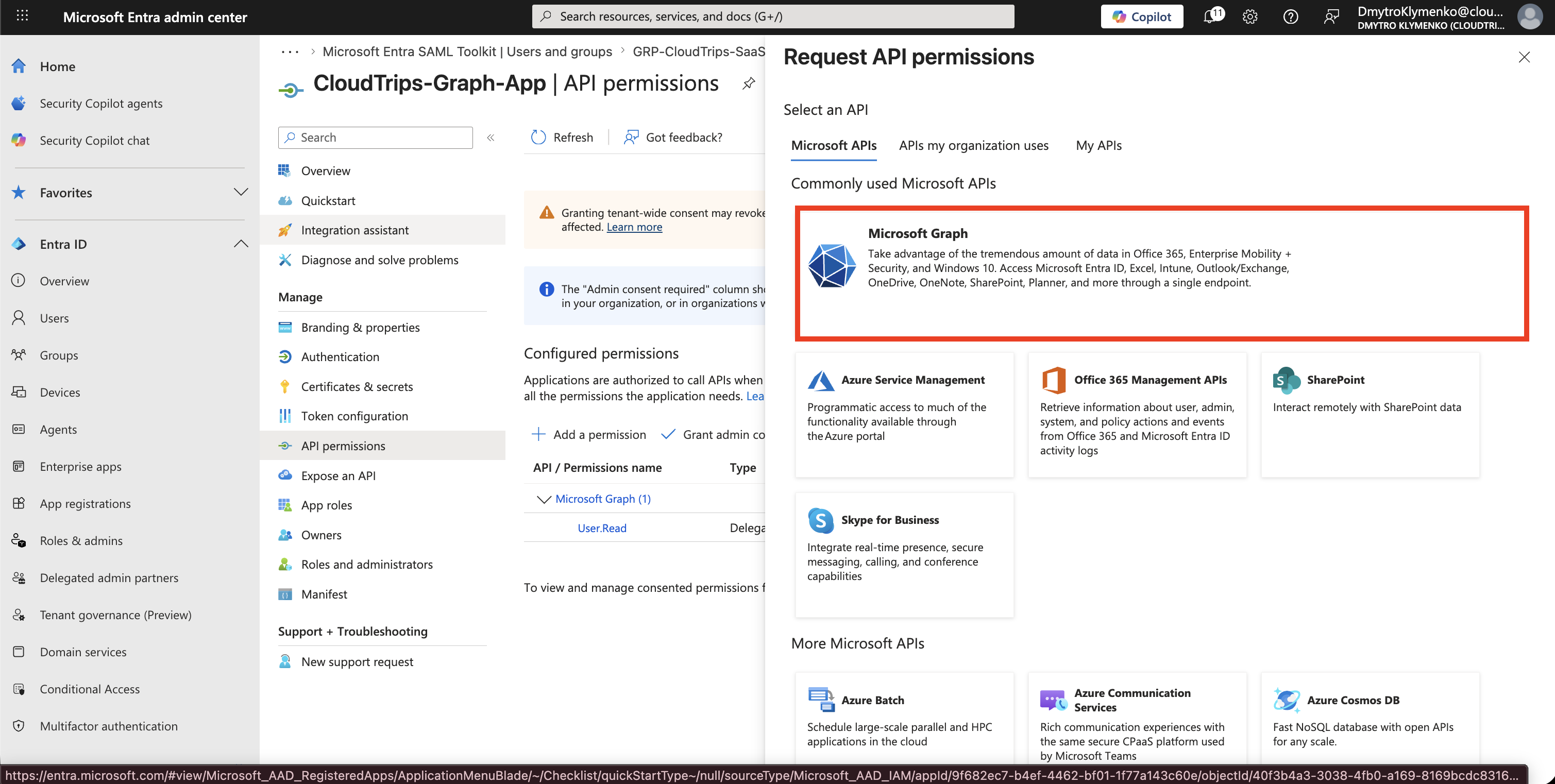 Request API permissions Seite mit ausgewaehltem Microsoft Graph