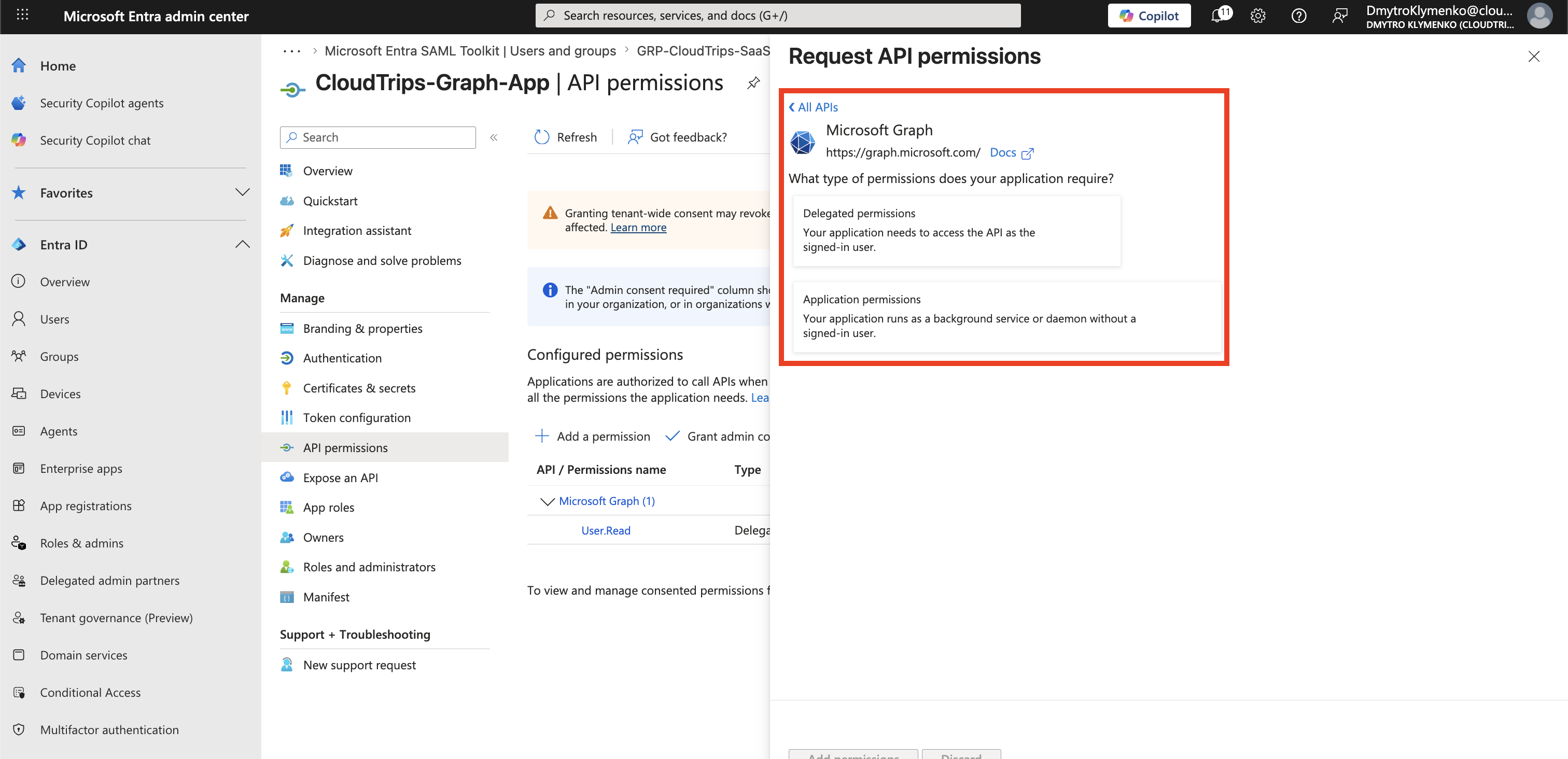Microsoft Graph Permissions Seite mit Delegated permissions und Application permissions Auswahl