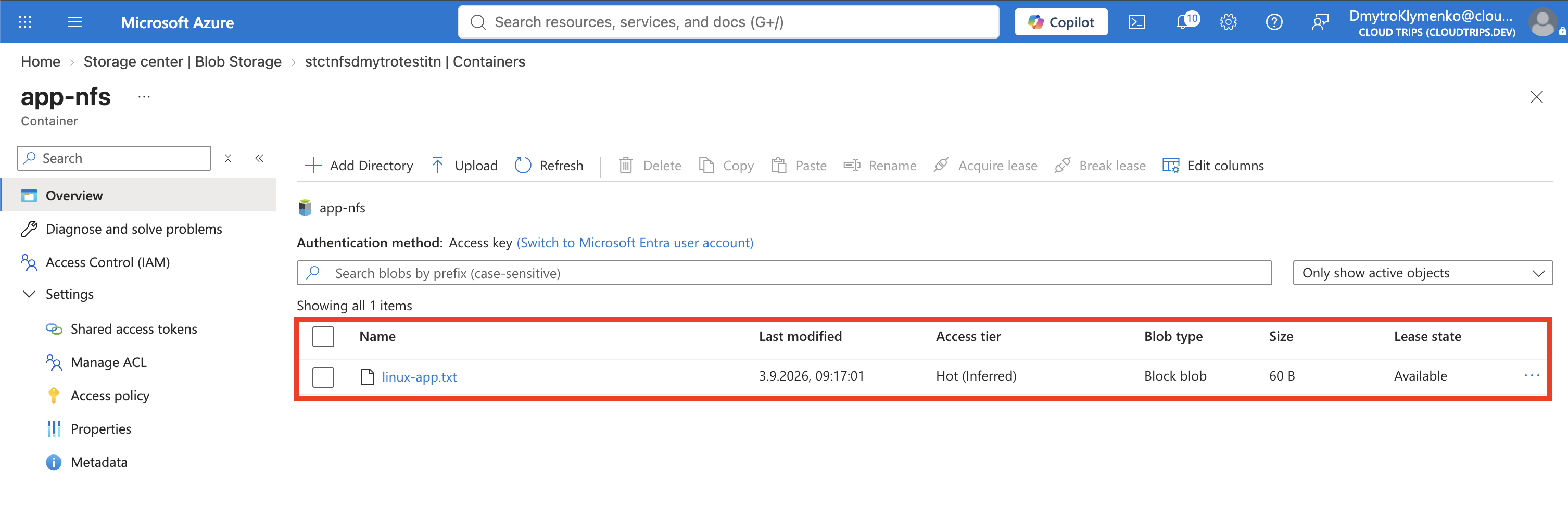 Azure-Portal mit linux-app.txt im Container app-nfs nach dem Linux-Schreibvorgang