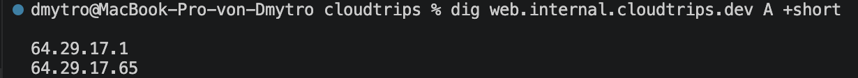 Lokales Terminal ohne öffentliche DNS-Antwort für web.internal.cloudtrips.dev