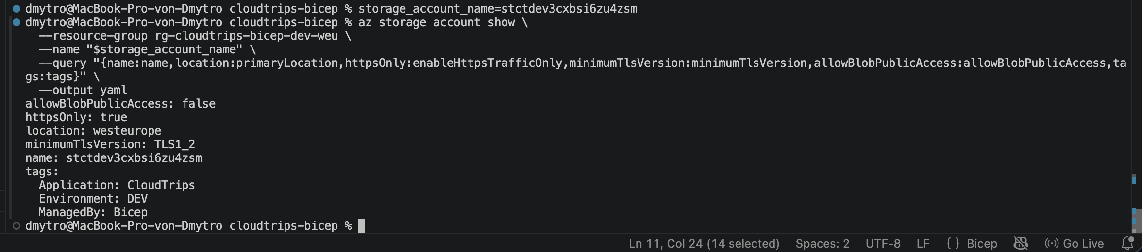 Bereitgestelltes CloudTrips-DEV-Speicherkonto mit Sicherheitseinstellungen und von Bicep verwalteten Tags