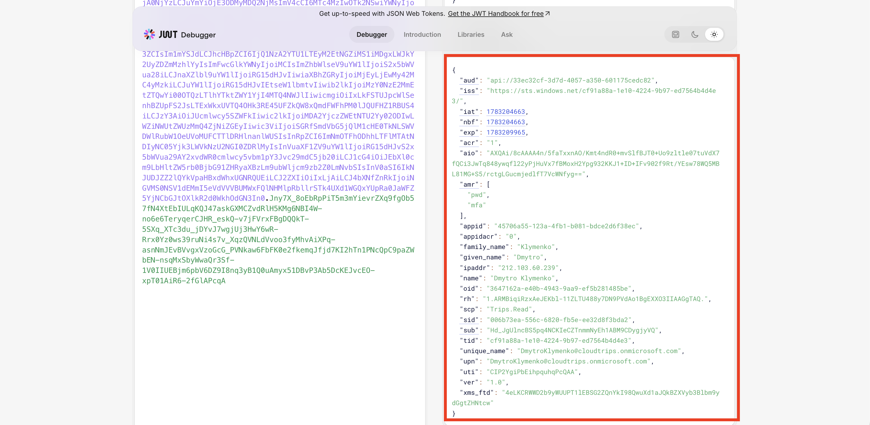 Decodiertes Access Token mit CloudTrips API Audience und delegiertem Trips.Read Scope
