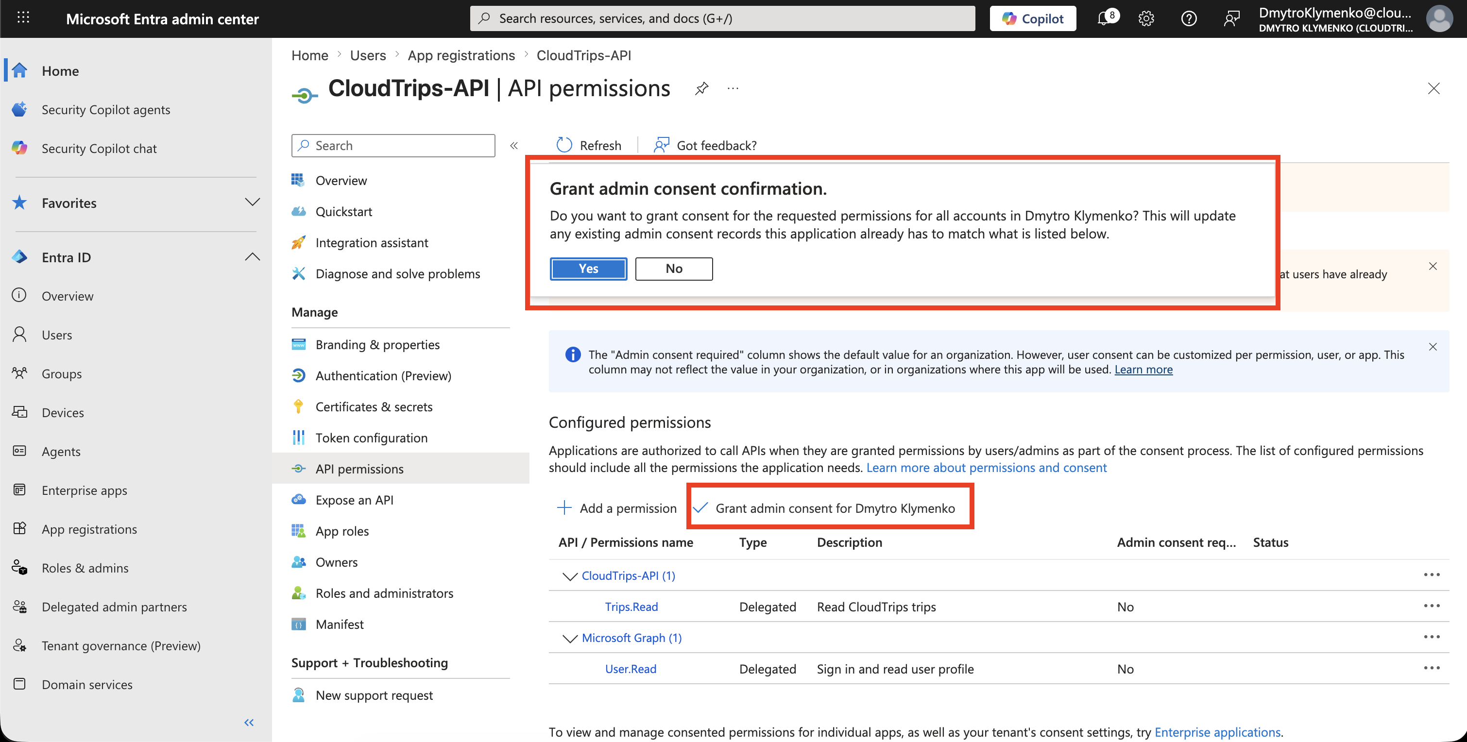 CloudTrips CLI API permissions Seite nach erteiltem Admin Consent