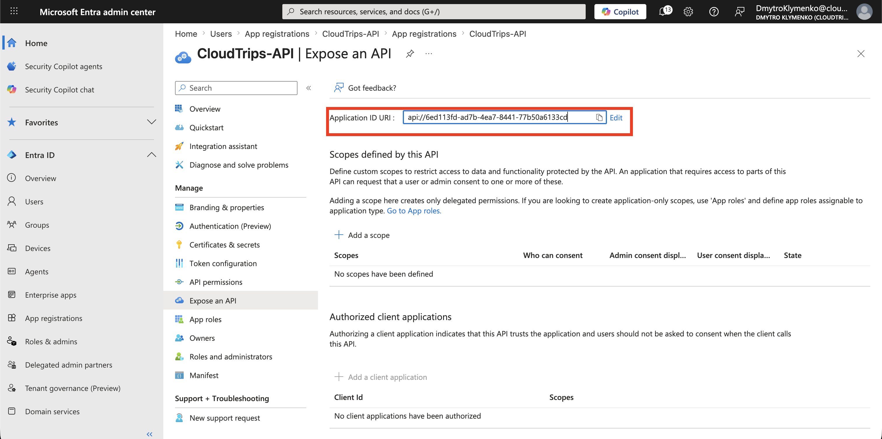 CloudTrips API Expose an API Seite mit konfigurierter Application ID URI