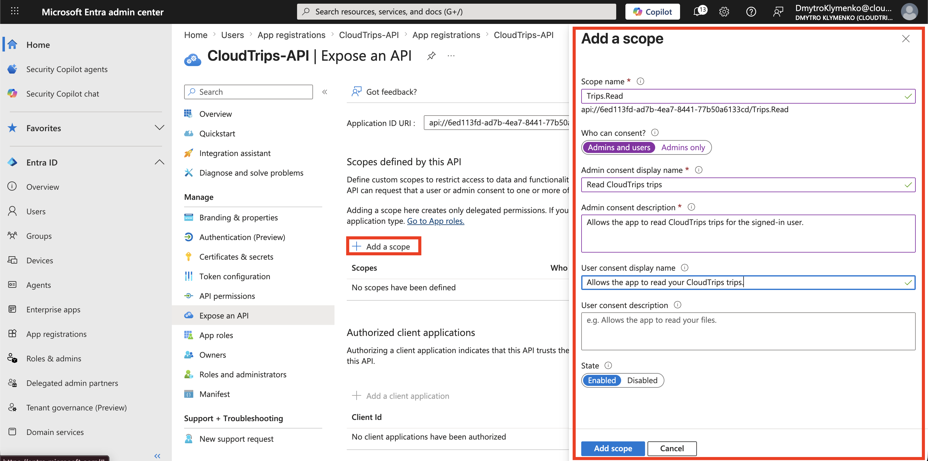 Add a scope Formular mit Trips.Read und Consent-Anzeigewerten