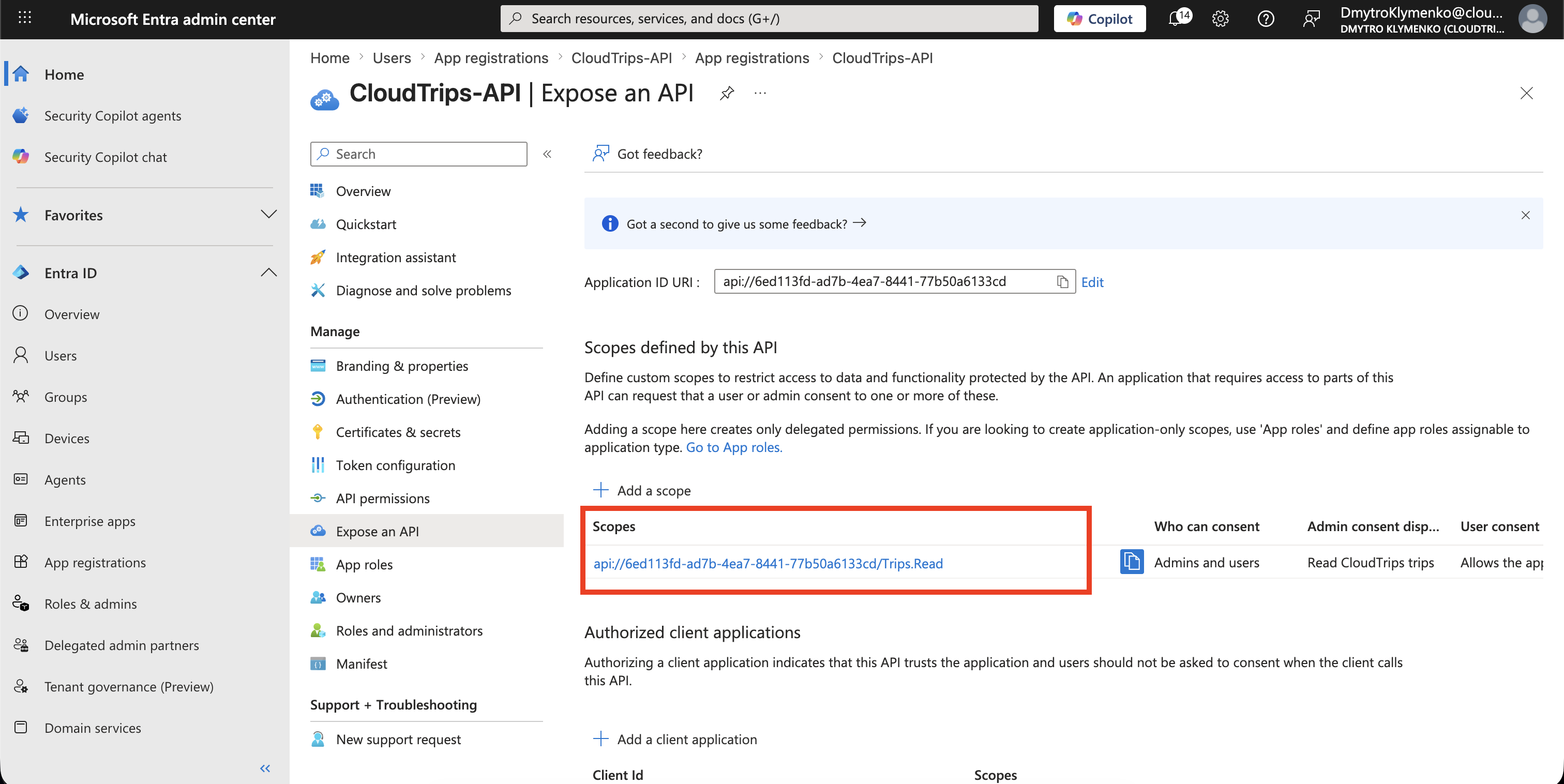 CloudTrips API Expose an API Seite mit aufgelistetem Trips.Read Scope