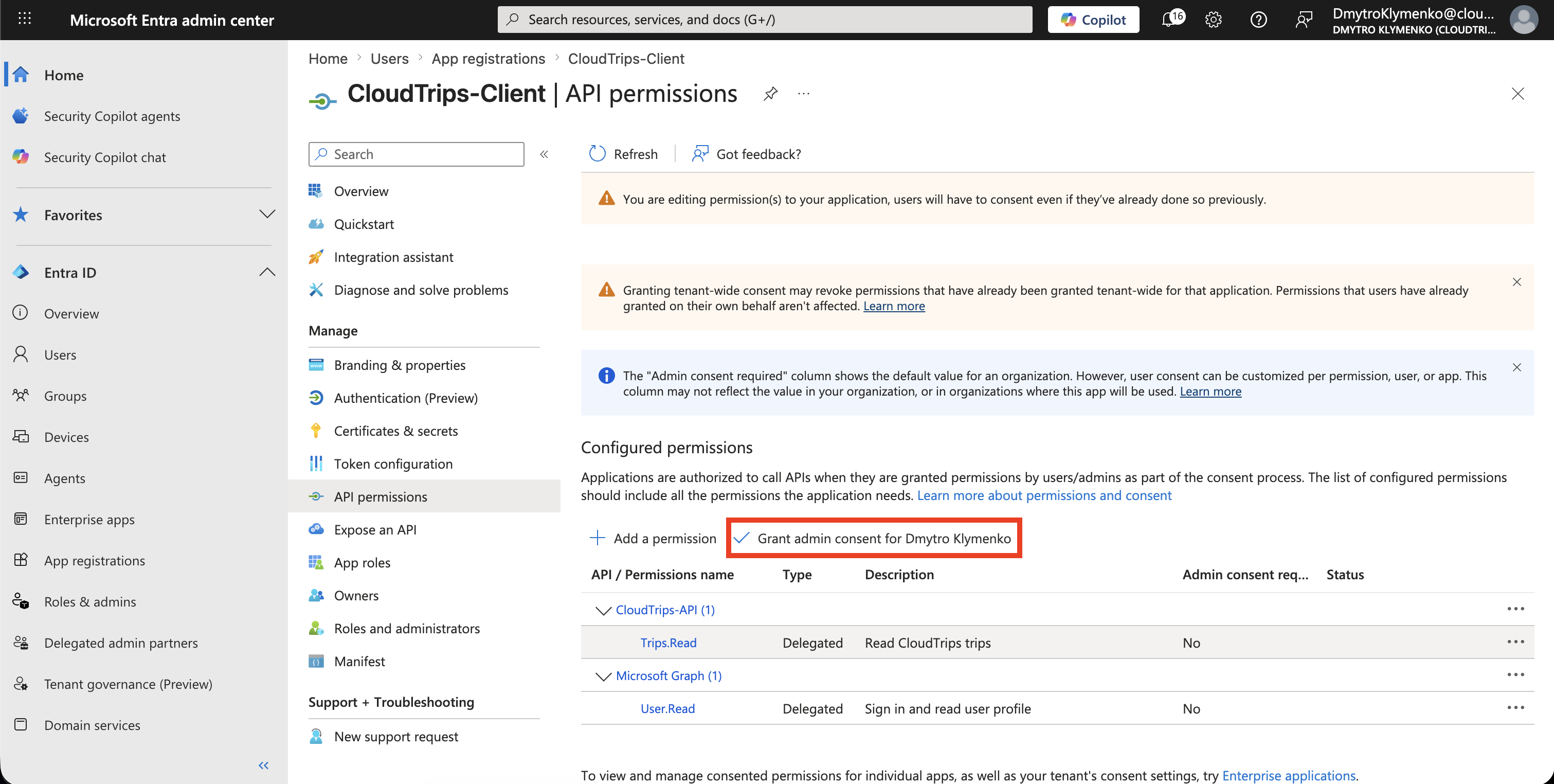 CloudTrips Client API permissions Seite mit erteiltem Admin Consent fuer Trips.Read