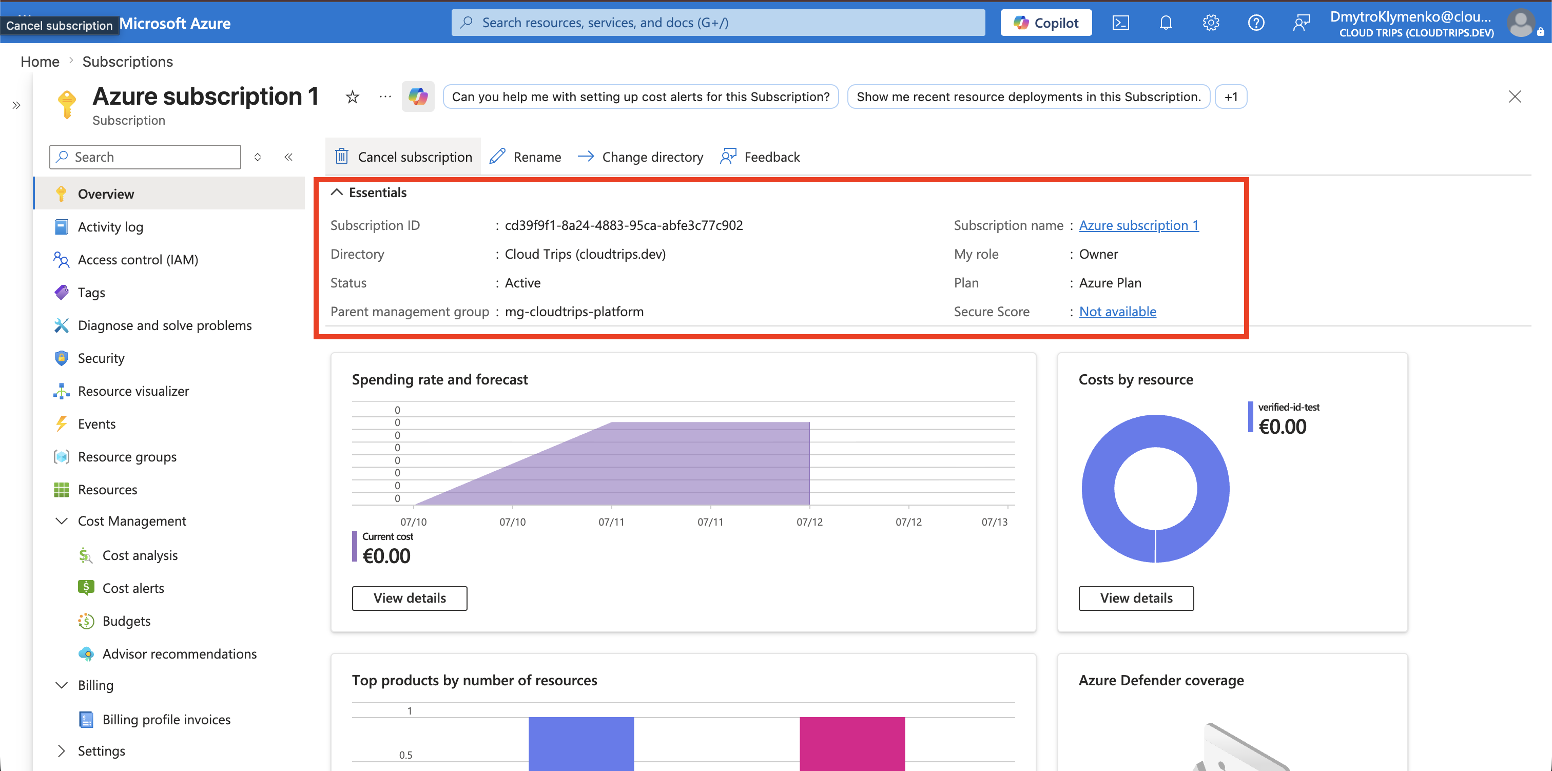 Azure subscription 1 Overview page showing its identity, status, directory, and management group