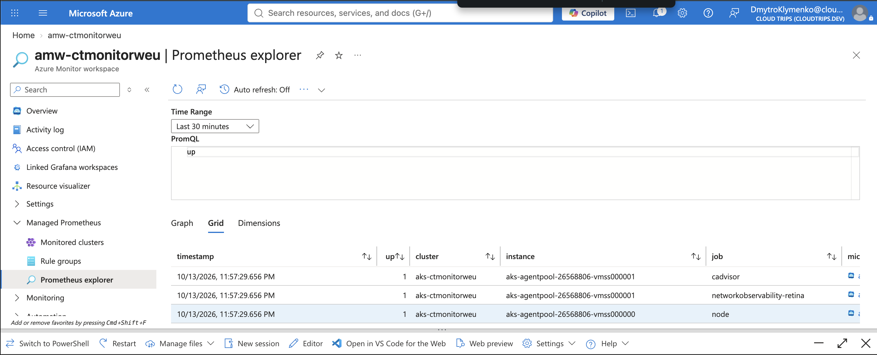 Prometheus query returning scrape-target series for the cluster.
