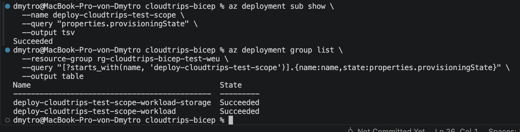 Successful subscription, workload, and storage-module deployment records for CloudTrips TEST